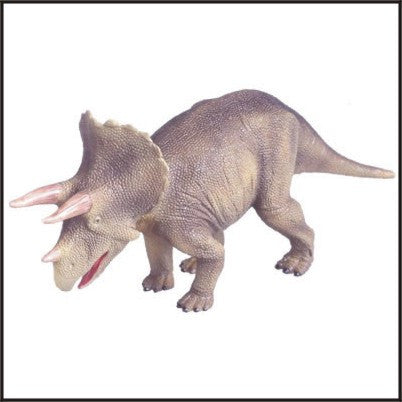 Triceratops